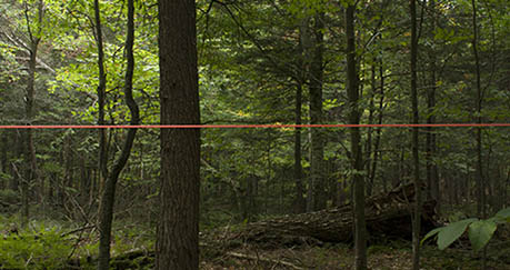 Rob Licht: Wilderness Bisect